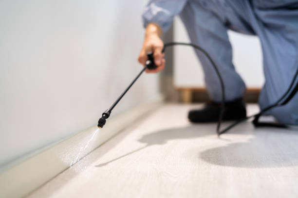 Licensed Pest Control service in Princeton, NC - Show Me Pest Control
